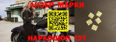 прущие грибы Ставрополь