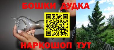 прущие грибы Ставрополь