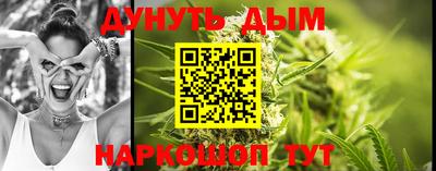 прущие грибы Ставрополь