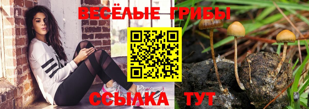 Алапаевск  Псилоцибиновые грибы Magic Shrooms  Вход с VPN 